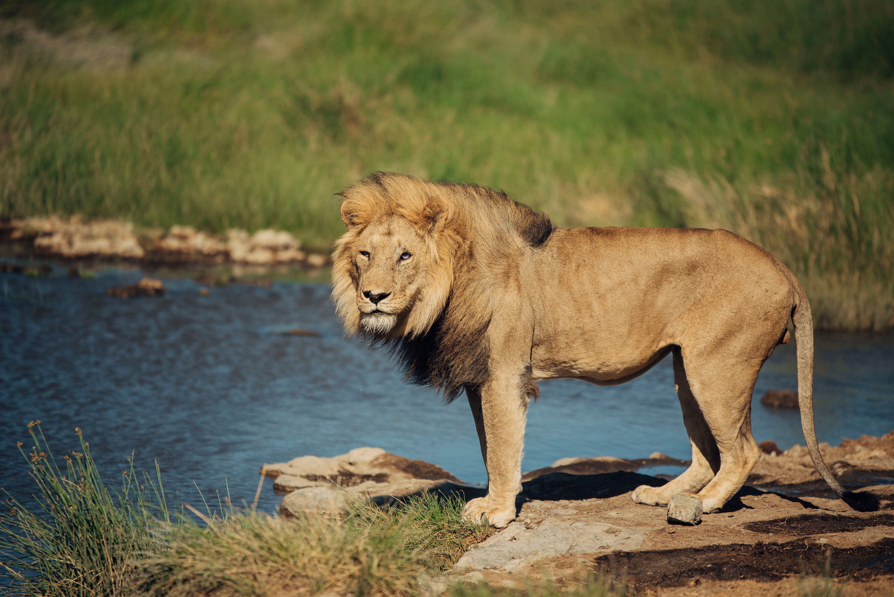 Zanzibar beach photo